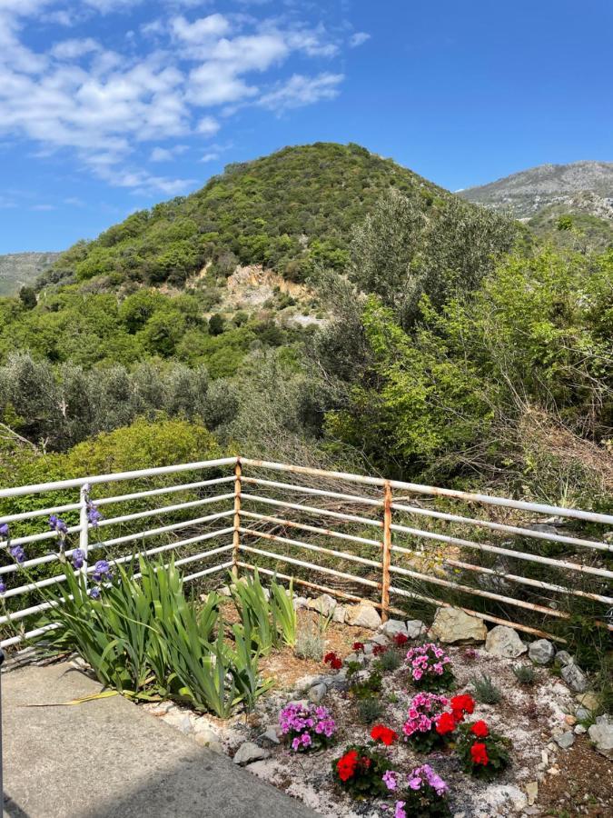 Apartments Villa Relax Petrovac المظهر الخارجي الصورة